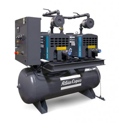 Dry vacuum pump systems